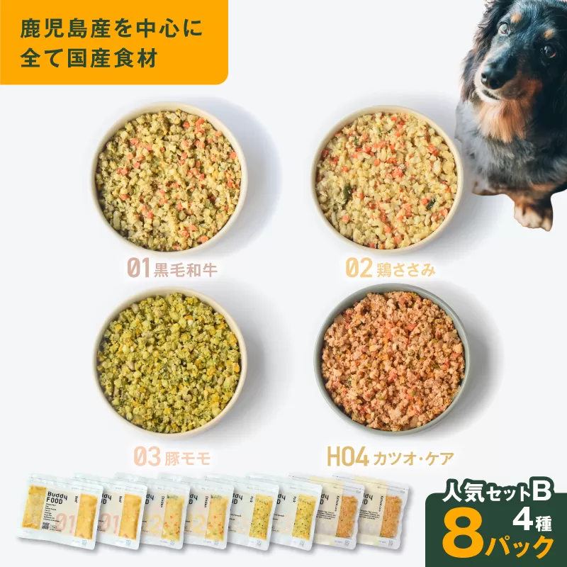 Buddy FOOD 人気セットB 4種8パック