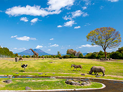 鹿児島市平川動物公園