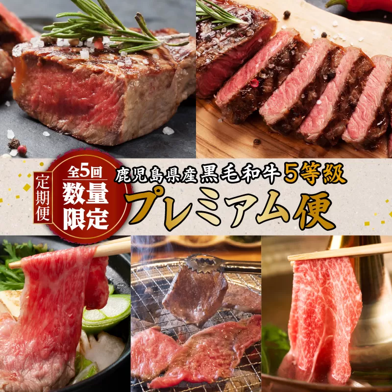 【全5回・数量限定】鹿児島県産黒毛和牛5等級「プレミアム便」