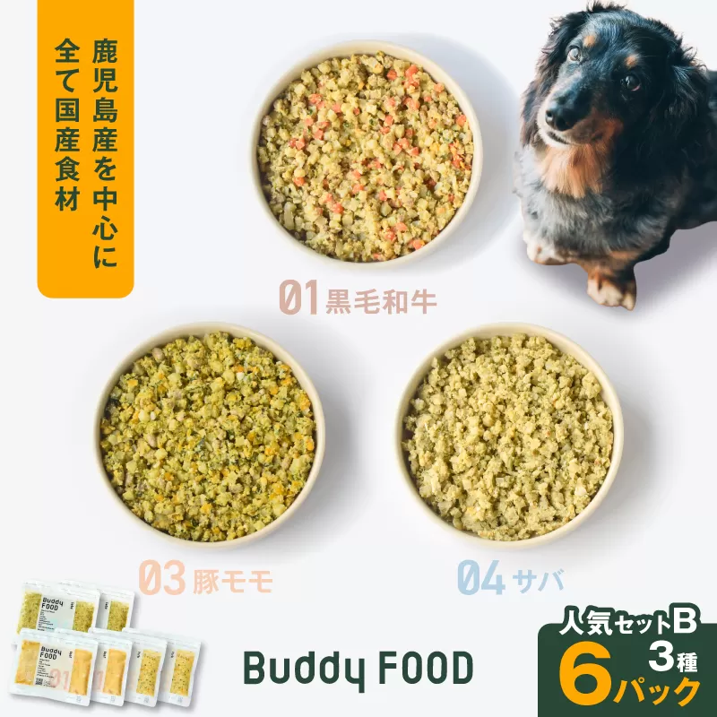 Buddy FOOD 人気セットB 3種6パック(黒毛和牛、豚モモ、サバ)