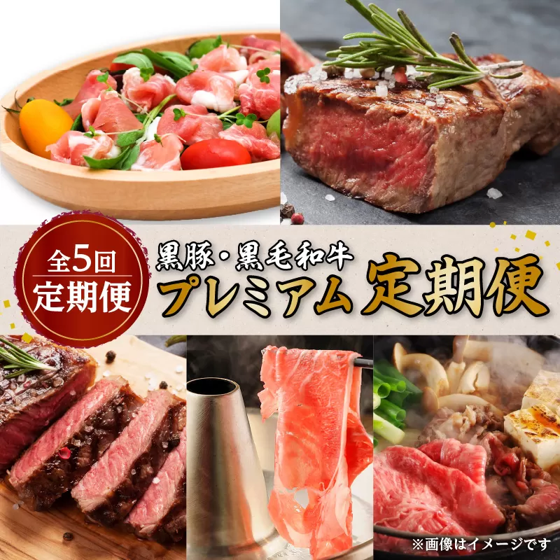 【全5回定期便】黒豚・黒毛和牛プレミアム定期便