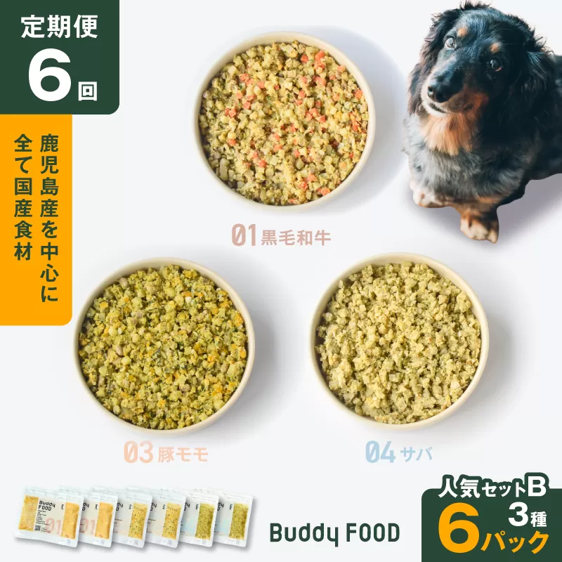 【全6回定期便】Buddy FOOD 人気セットB 3種6パック