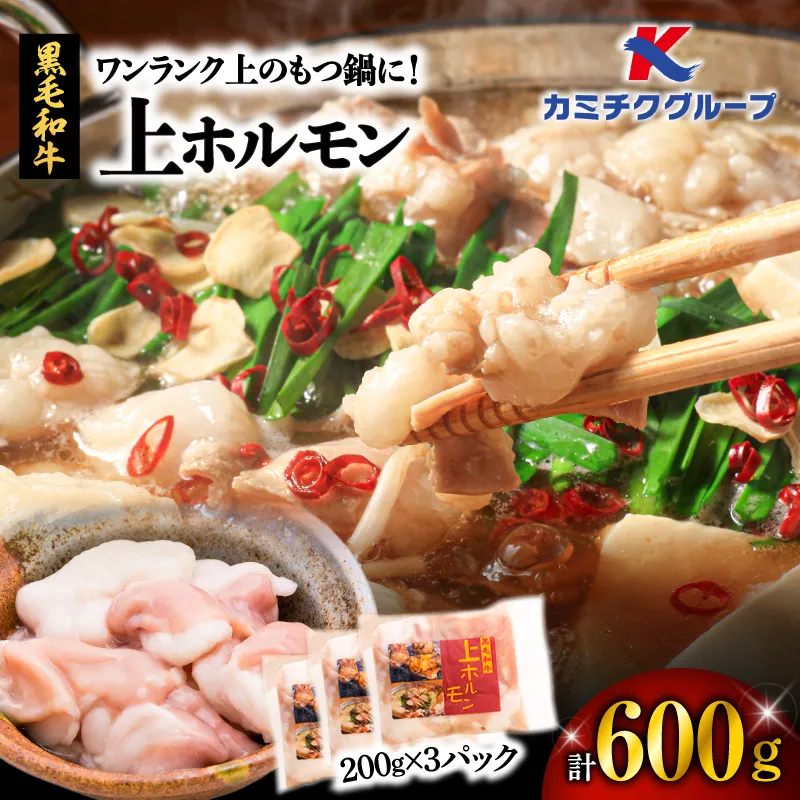 ワンランク上のもつ鍋に!上ホルモン600g(200g×3パック)