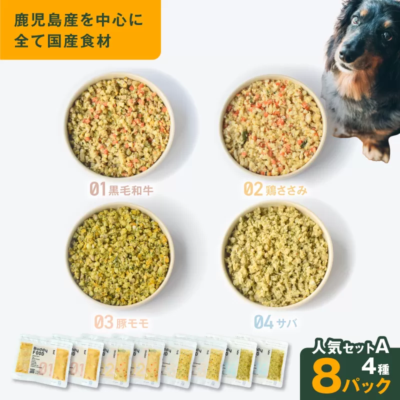 Buddy FOOD 人気セットA 4種8パック