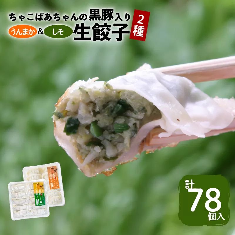 ちゃこばあちゃんの黒豚入りうんまか・しそ生餃子　計78個入り