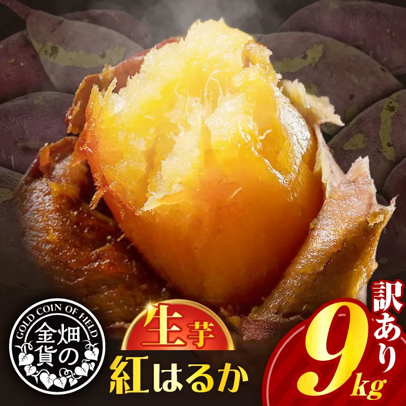 畑の金貨　生芋　訳あり紅はるか9kg