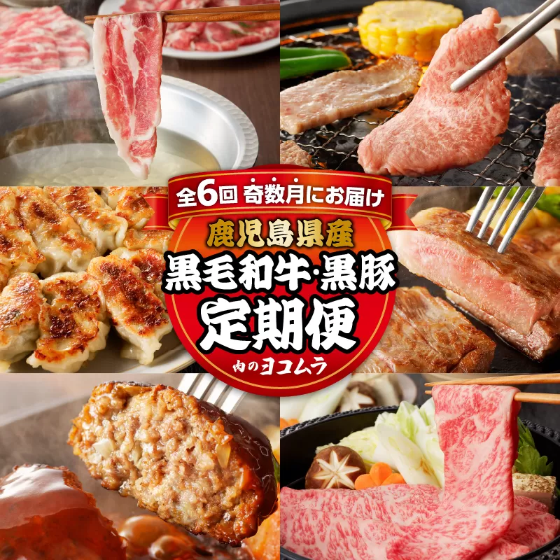 【全6回】「肉のヨコムラ」鹿児島県産 黒毛和牛・黒豚 定期便（奇数月にお届け）