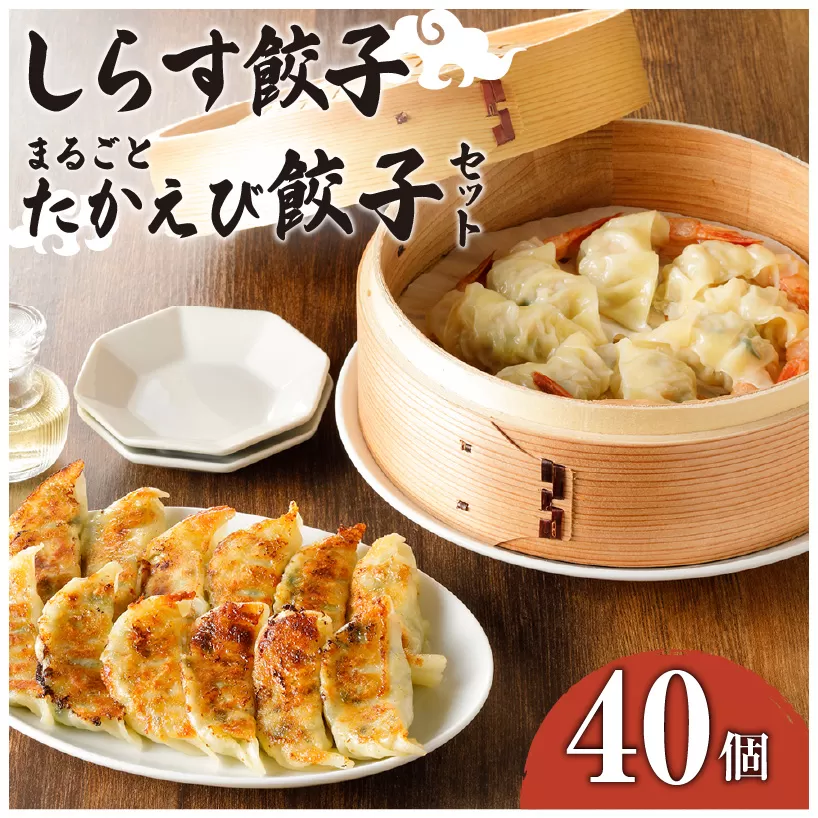 鹿児島の海鮮入り餃子セット
