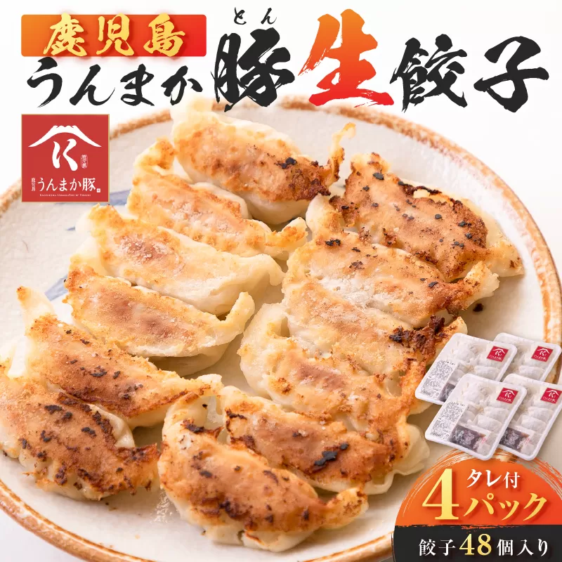 鹿児島うんまか豚生餃子4パック（餃子48個入り・タレ付）