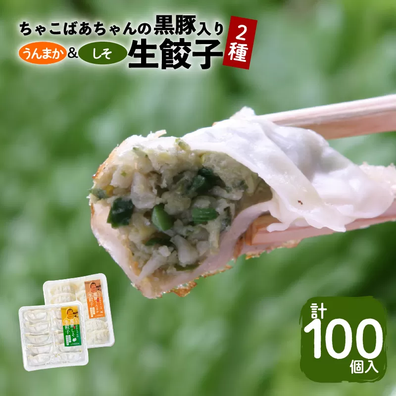 ちゃこばあちゃんの黒豚入りうんまか・しそ生餃子 計100個入り