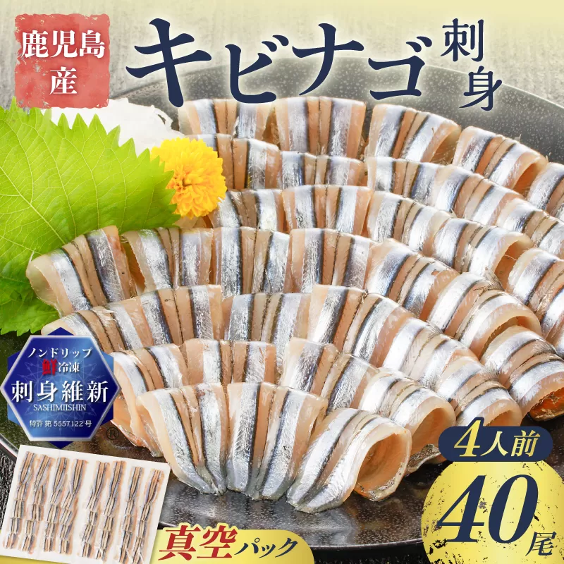 鹿児島産 キビナゴ刺身 40尾 4人前