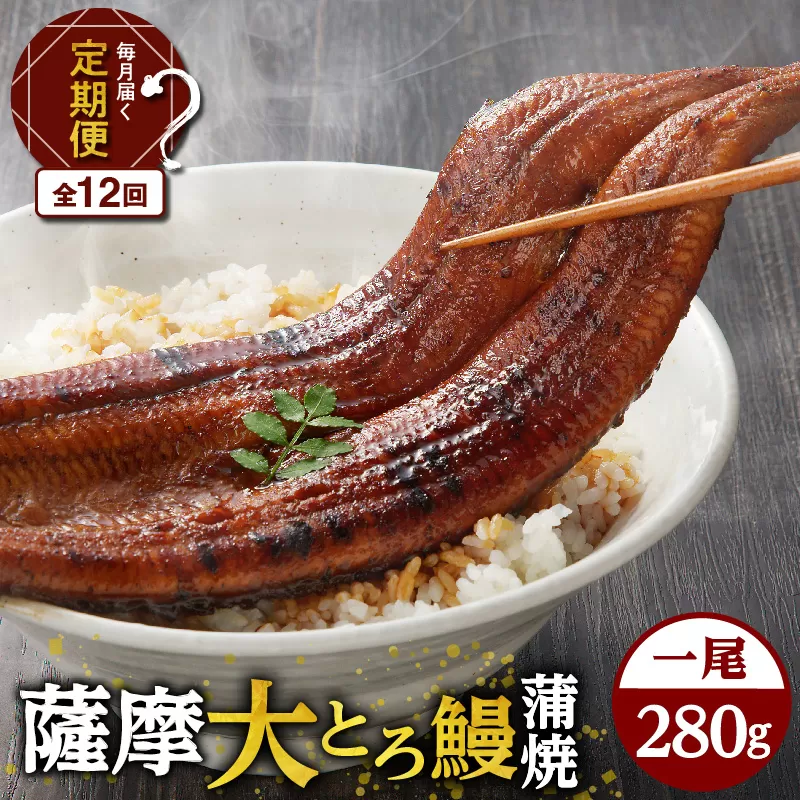 【全12回定期便】薩摩大とろ鰻蒲焼特大サイズ一尾