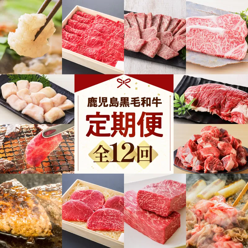 【全12回】鹿児島黒毛和牛定期便