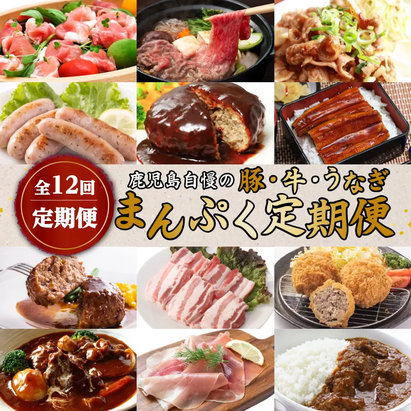 【全12回定期便】鹿児島自慢の豚・牛・うなぎ「まんぷく定期便」