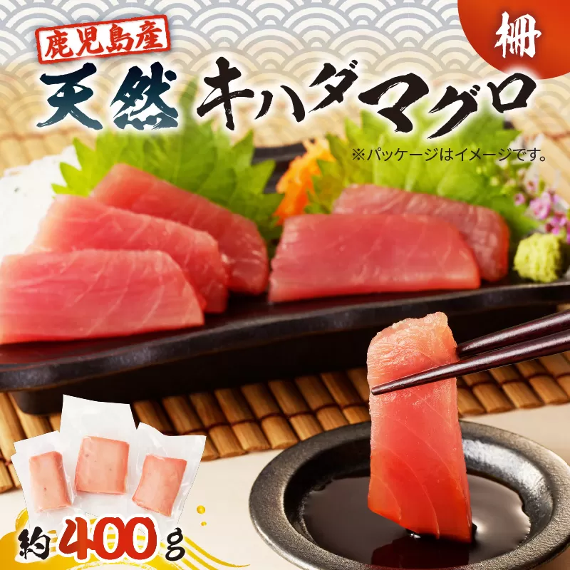 鹿児島産 天然 キハダマグロ 柵 約400g　K100-005