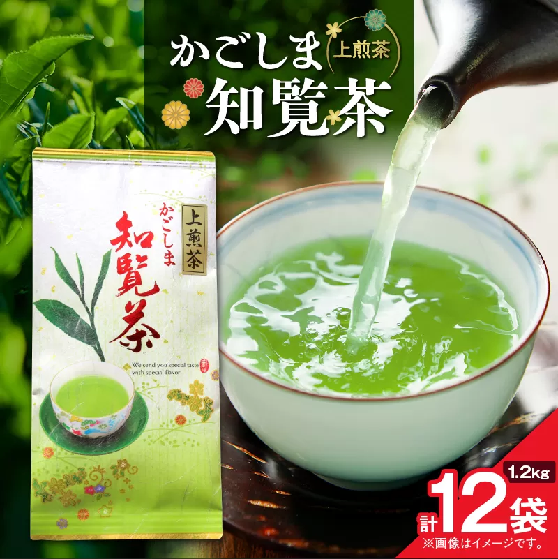 かごしま知覧茶 （100g×12袋）