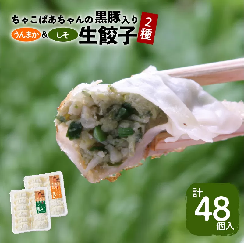 ちゃこばあちゃんの黒豚入りうんまか・しそ生餃子　計48個入り