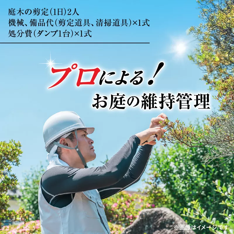 プロによる！お庭の維持管理