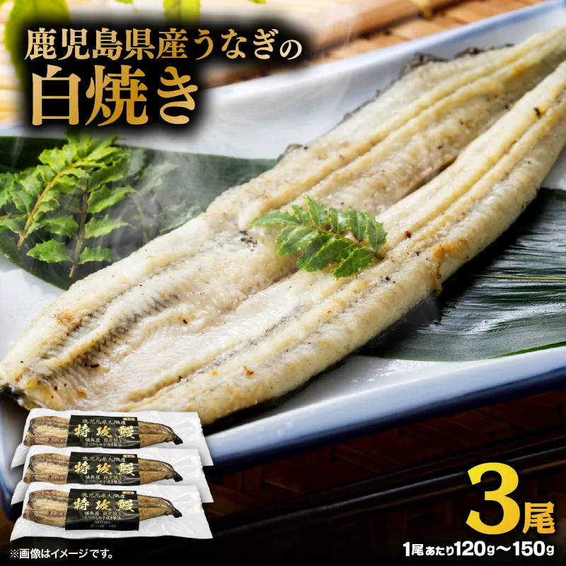 鹿児島県産うなぎの白焼き 3尾