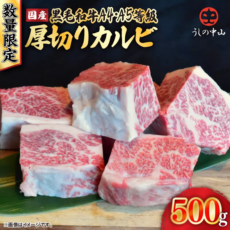 2547 [数量限定]A4・A5等級 うしの中山黒毛和牛厚切りカルビ 500g(500g×1袋)