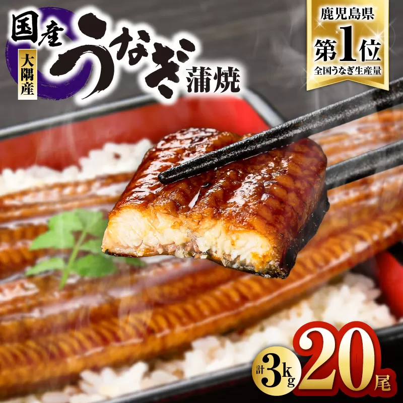 727-1 鹿児島県大隅産うなぎ蒲焼20尾（3kg）