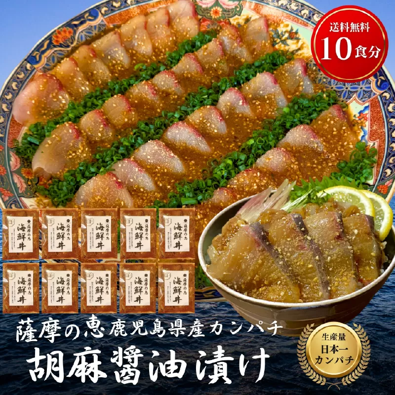 鹿屋市産 かんぱち 胡麻醤油漬け 海鮮丼セット 10食分