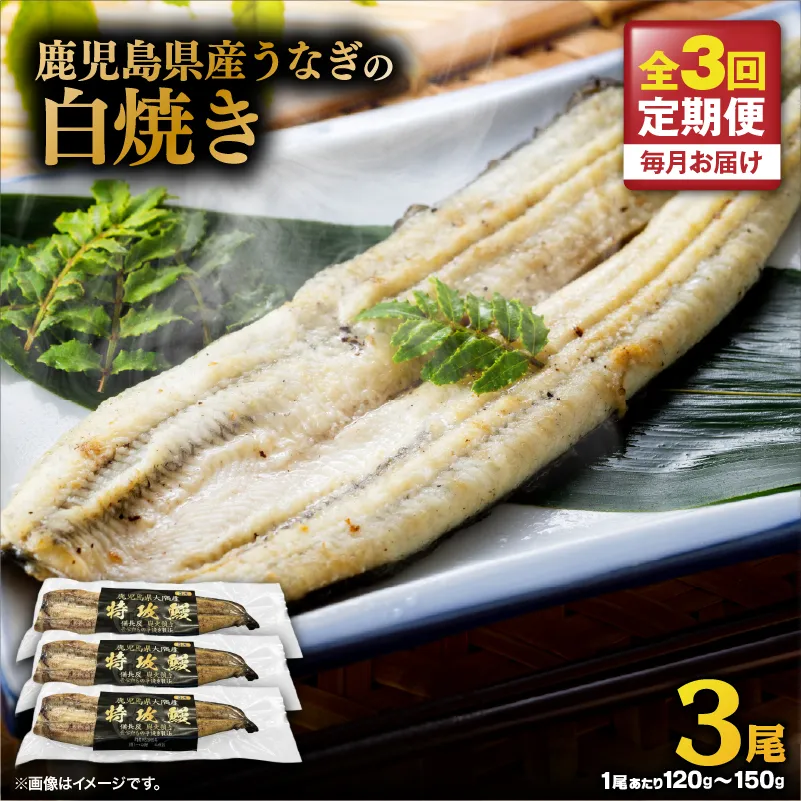 【全3回定期便】鹿児島県産うなぎの白焼き 3尾