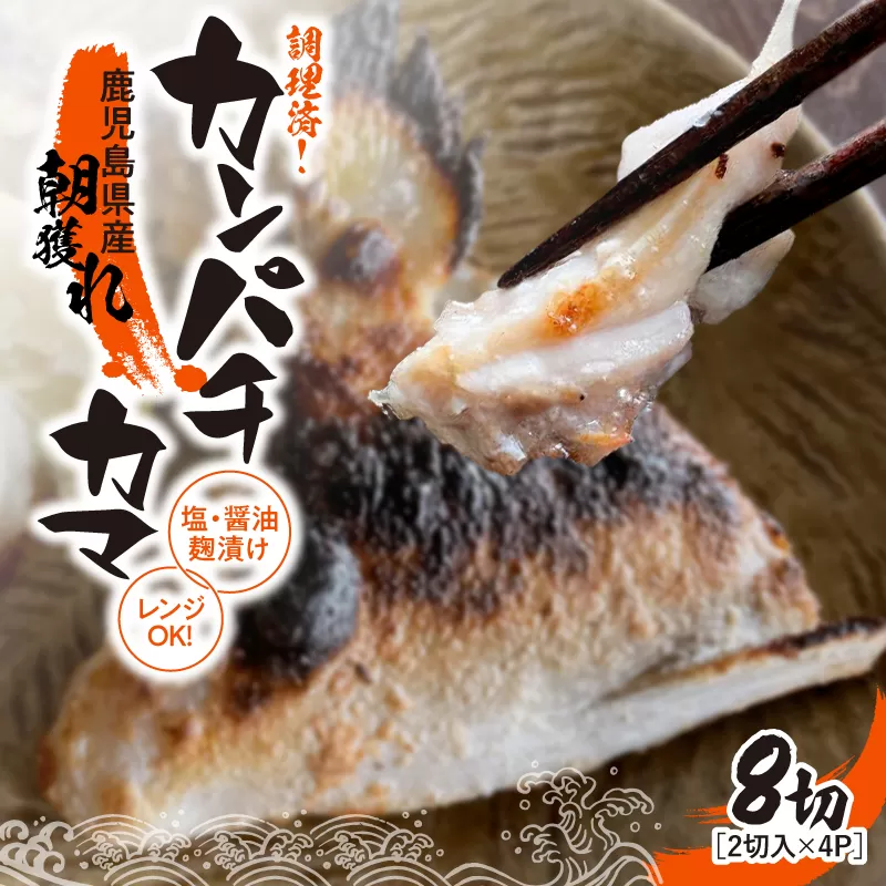 [10/1(木)より寄附金額改定予定]1276 調理済み!カンパチカマ塩・醤油麹(こうじ)漬け 8切(焼タイプ)