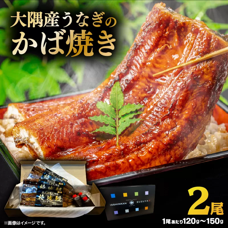 大隅産うなぎのかば焼き 2尾