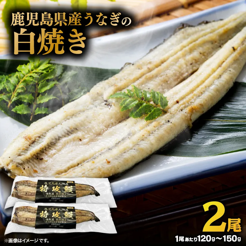 鹿児島県産うなぎの白焼き 2尾