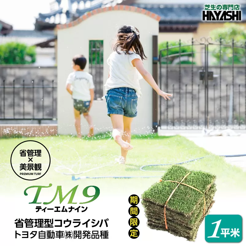 TM9(ティーエムナイン)省管理型コウライシバ トヨタ自動車(株)開発品種 1平米