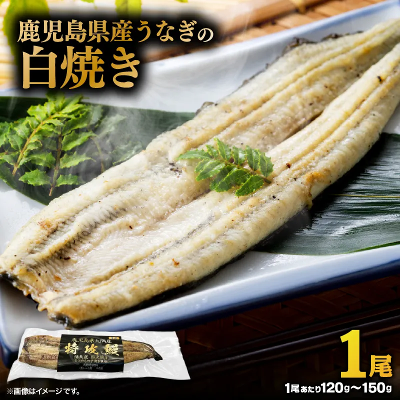 鹿児島県産うなぎの白焼き 1尾