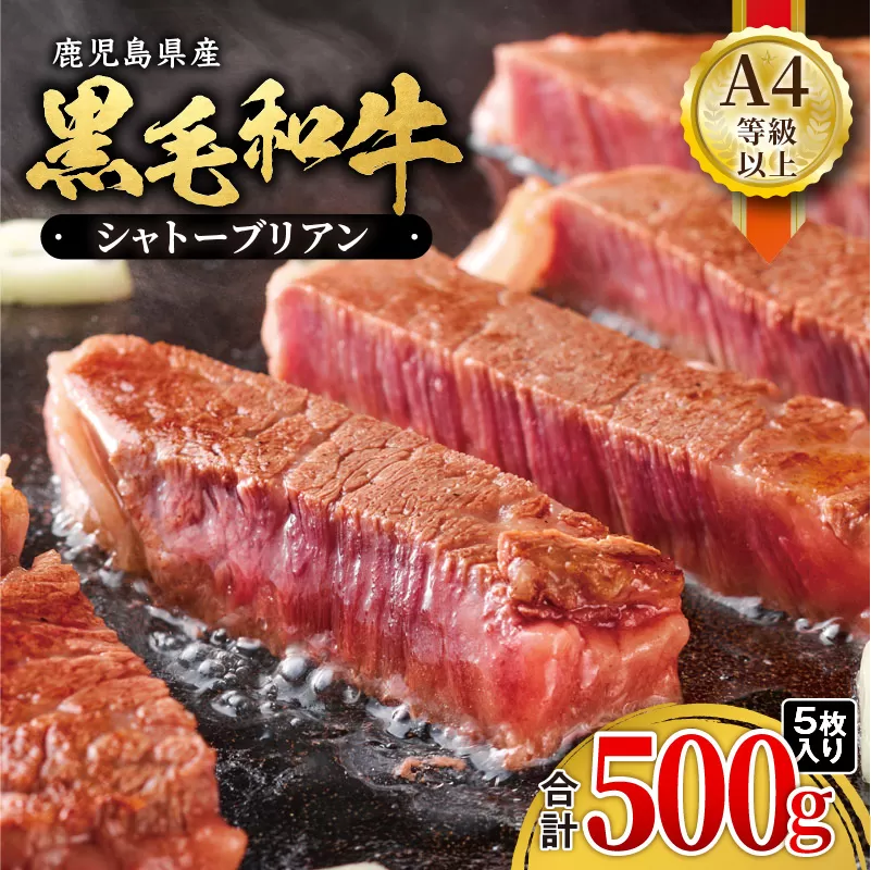 鹿児島県産黒毛和牛 シャトーブリアン（A4等級以上） 500g（5枚入り）