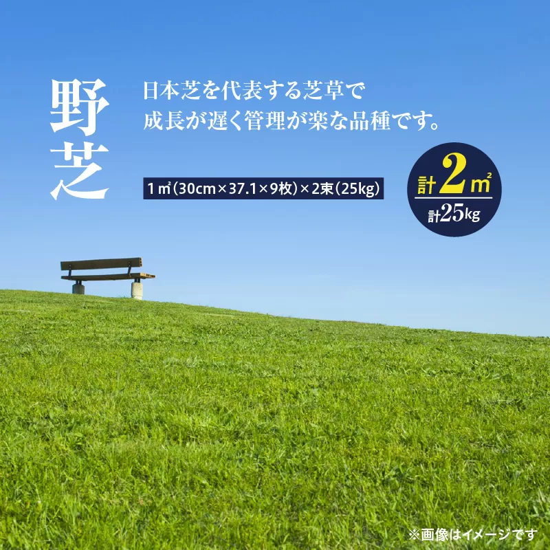 【10月から5月に発送】野芝（2平方メートル）