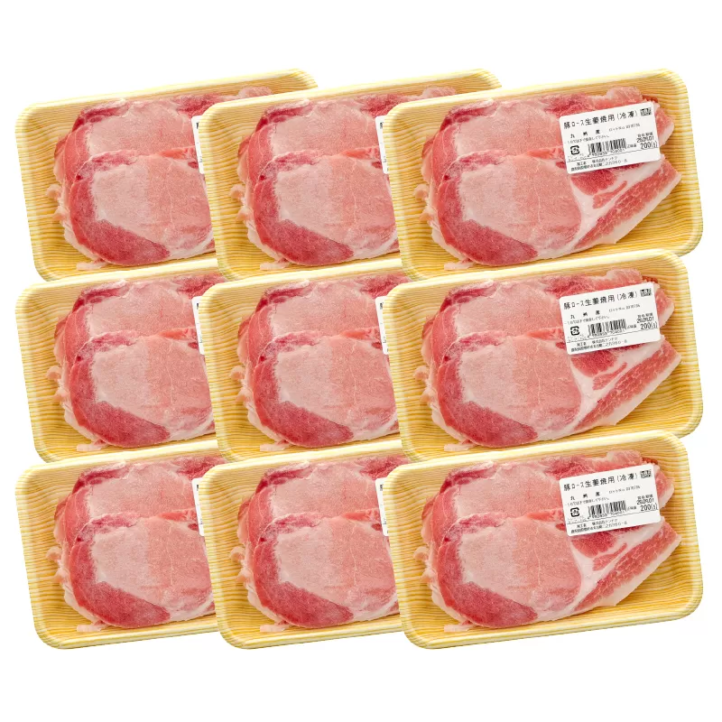 2707 九州産豚ロース生姜焼き(200g×9パック)