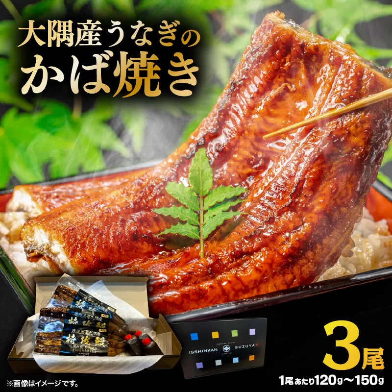 大隅産うなぎのかば焼き 3尾