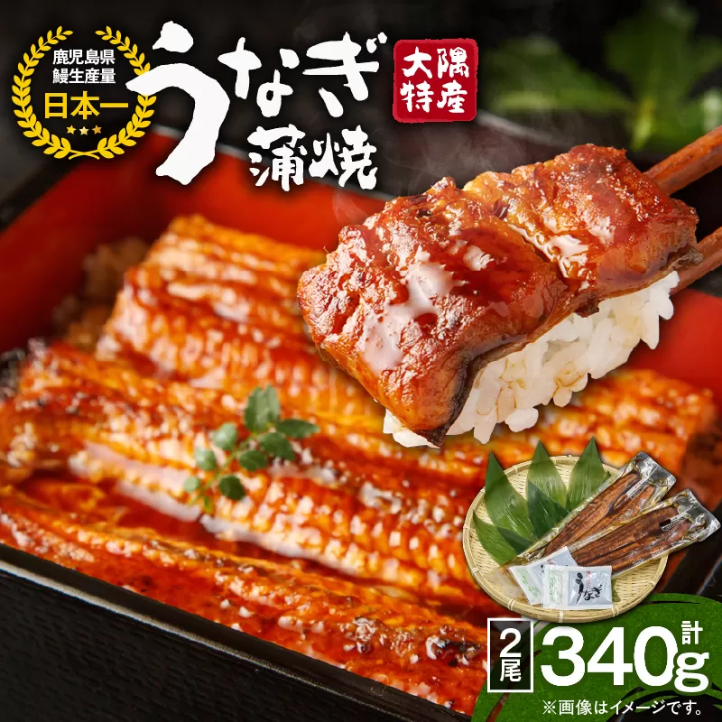 1386 大隅特産うなぎ蒲焼2尾（340g）