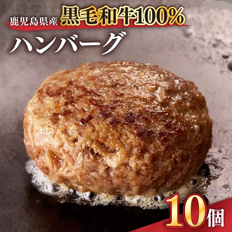 [10/1(木)より寄附金額改定予定]1525 鹿児島県産黒毛和牛100%ハンバーグ10個