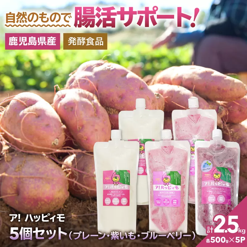 2825 ア!ハッピィモ5個セット(プレーン・紫いも・ブルーベリー)