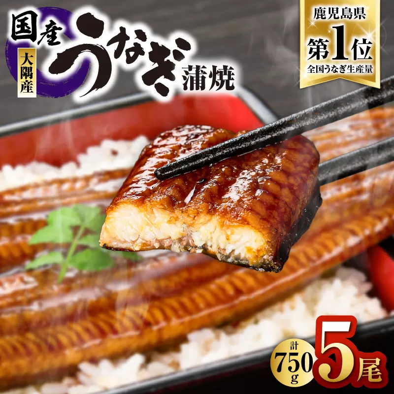 1633 鹿児島県大隅産うなぎ蒲焼5尾（750g）
