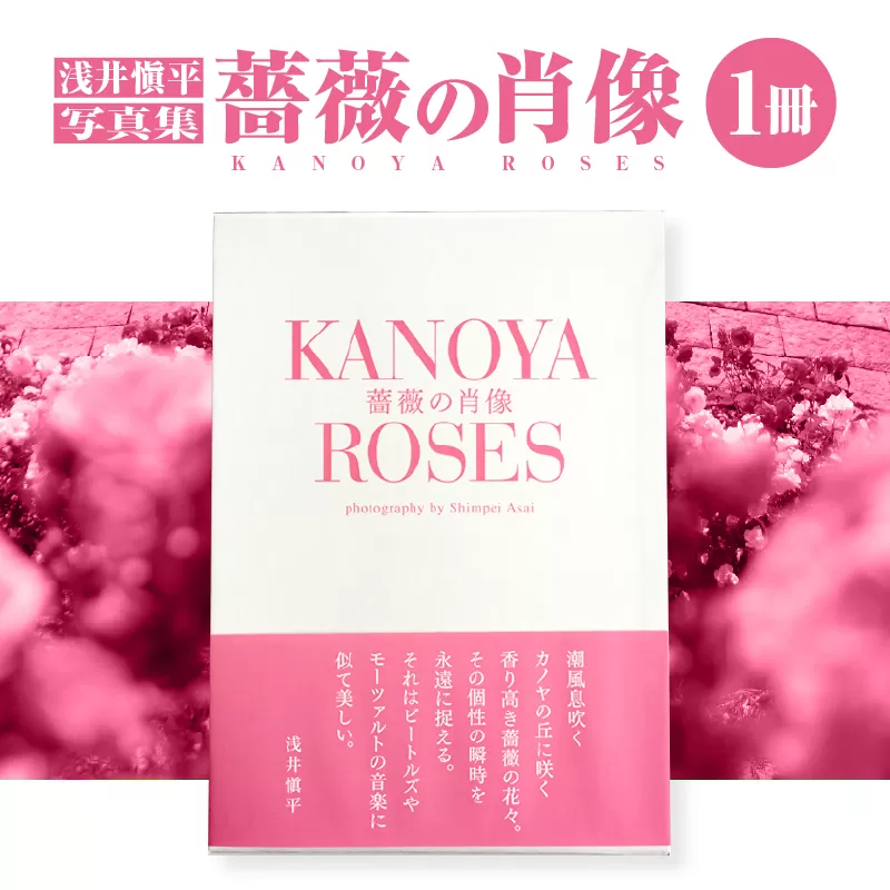 1031 浅井愼平写真集 薔薇の肖像 KANOYA ROSES