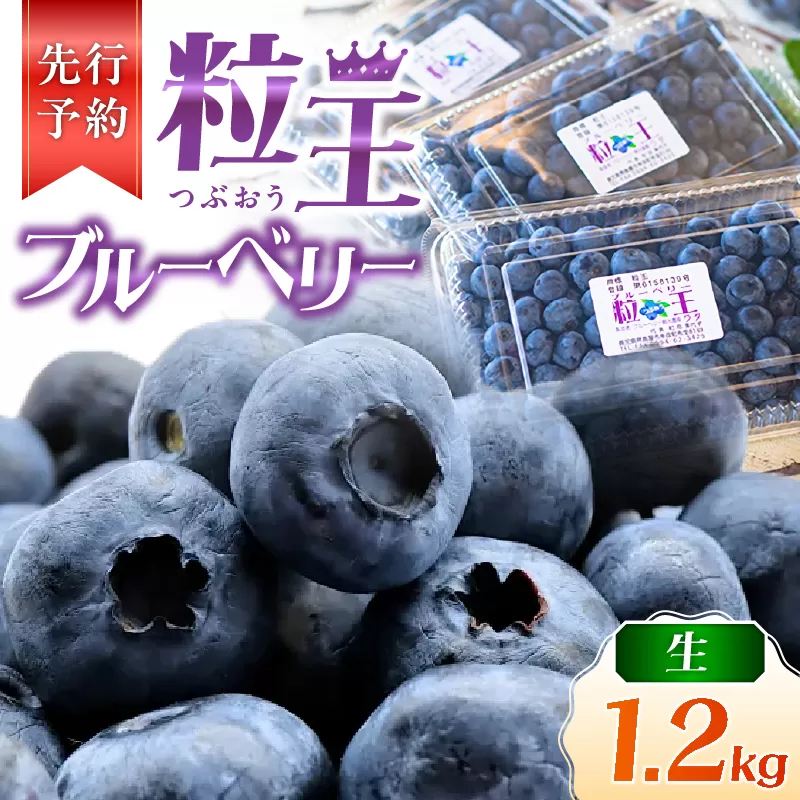 [先行予約]1217-1 粒王 生ブルーベリー 1.2kg(400g×3P)