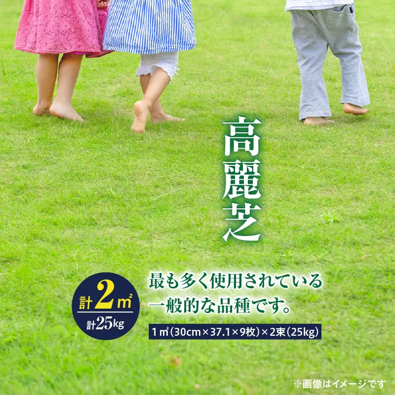【10月から5月に発送】高麗芝（2平方メートル）