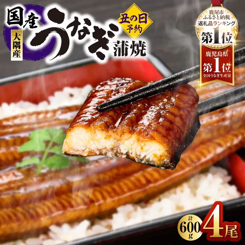 2869 【先行予約】鹿児島県大隅産うなぎ蒲焼4尾（600g）