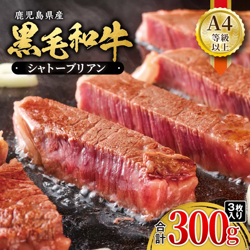 714-1 鹿児島県産黒毛和牛 シャトーブリアン（A4等級以上） 300g（3枚入り）