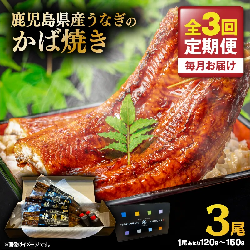 【全3回定期便】鹿児島県産うなぎのかば焼き 3尾