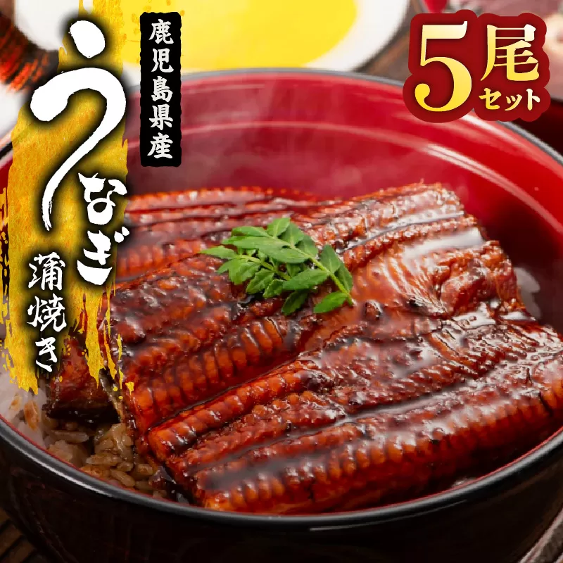 1651-1 鹿児島県産 うなぎ蒲焼き 5尾セット