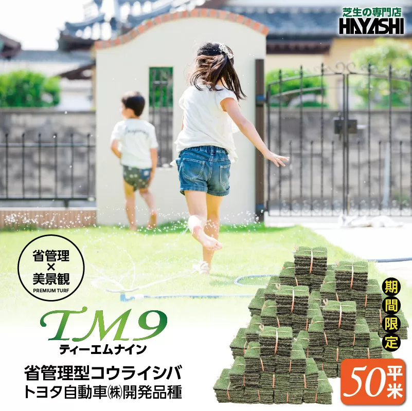 TM9(ティーエムナイン)省管理型コウライシバ トヨタ自動車(株)開発品種 50平米