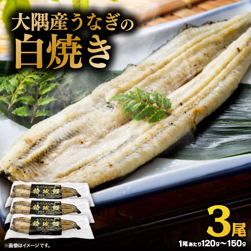 大隅産うなぎの白焼き 3尾