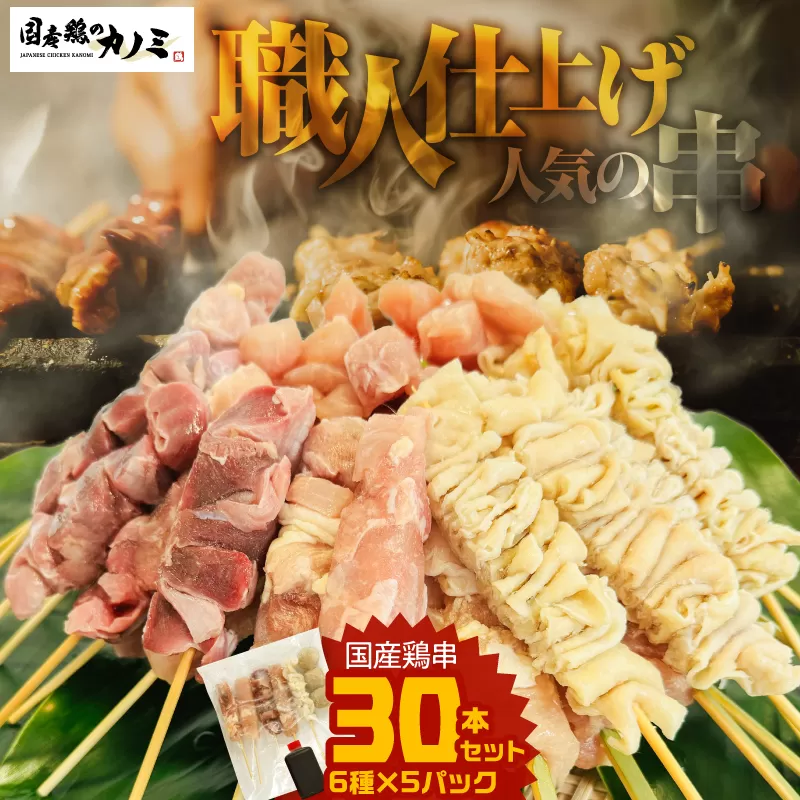国産 鶏串 30本セット（6種×5パック）